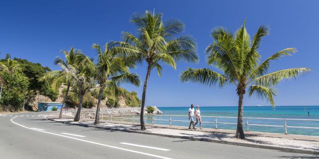 Walk from the Baie des Citrons to Nouméa, capital of New Caledonia.