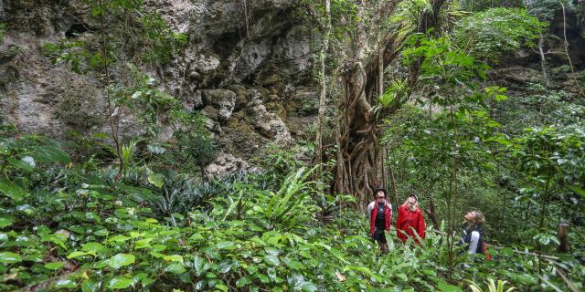 Walking tour of the Luengoni Jewel Cave in Lifou, Loyalty Islands of New Caledonia.