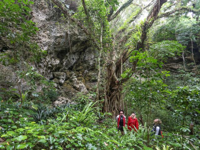 Walking tour of the Luengoni Jewel Cave in Lifou, Loyalty Islands of New Caledonia.