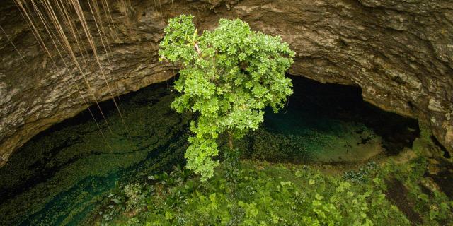 Trou de Bone, Maré