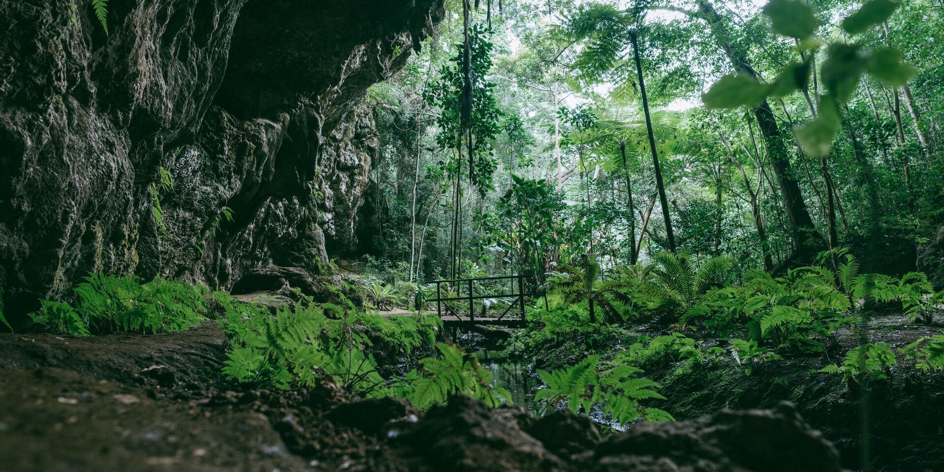 ニューカレドニアのイル・デ・パンにあるオルタンス洞窟（Grotte de la Reine Hortense）またはウマーニュ洞窟（Grotte d'Oumagne）。