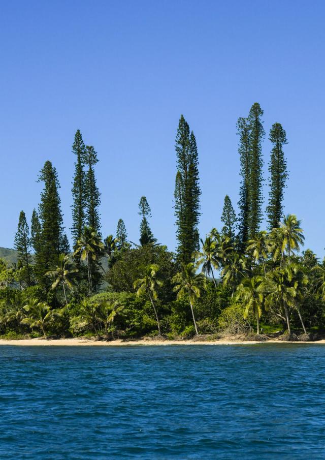 Tibarama islet, located in Poindimié on the east coast of New Caledonia.