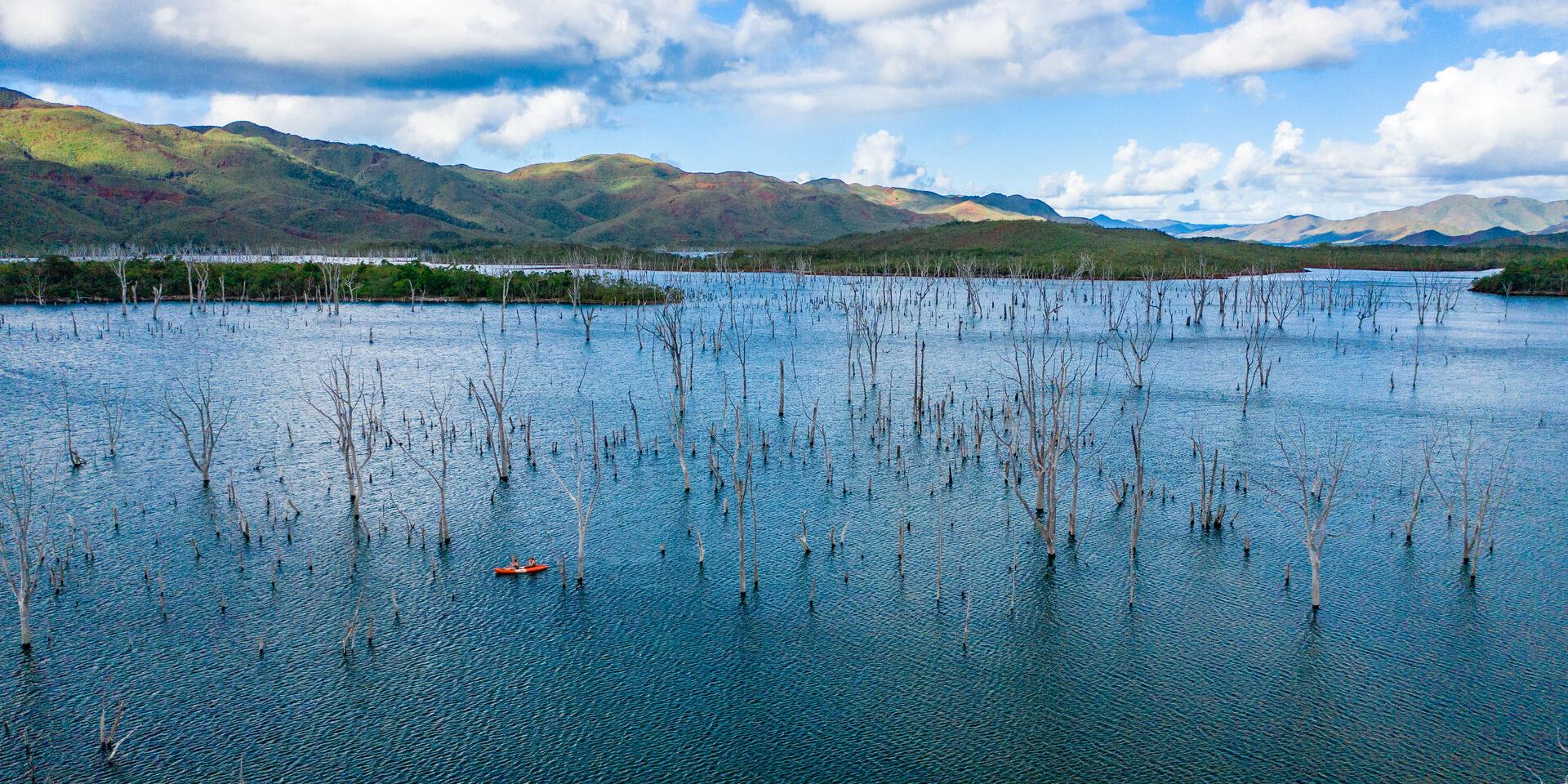 Excursion en kayak sur la forêt noyée au Parc Provincial de la Rivière Bleue à Yaté, dans le Grand Sud de la Nouvelle-Calédonie.