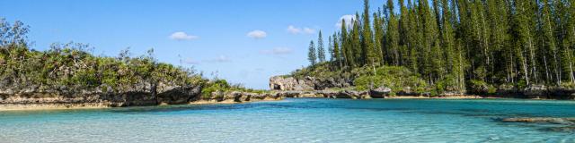 The Oro natural pool and its crystal-clear water, surrounded by columnar pines on Île des Pins, New Caledonia.