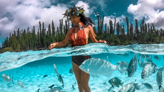 Swimming at the Piscine naturelle d'Oro with its crystal-clear water, surrounded by columnar pines on the Île des Pins, New Caledonia.