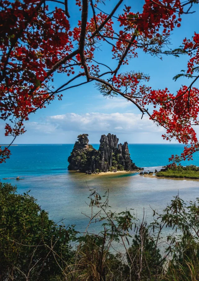 Hienghène's Brooding Hen, New Caledonia