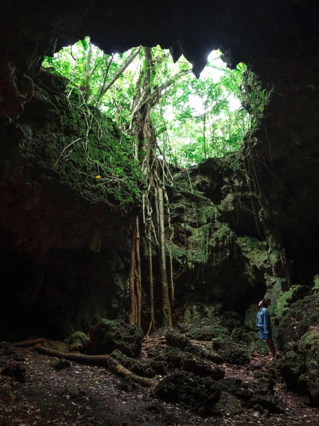 ニューカレドニアのイル・デ・パンにあるオルタンス洞窟（Grotte de la Reine Hortense）またはウマーニュ洞窟（Grotte d'Oumagne）。