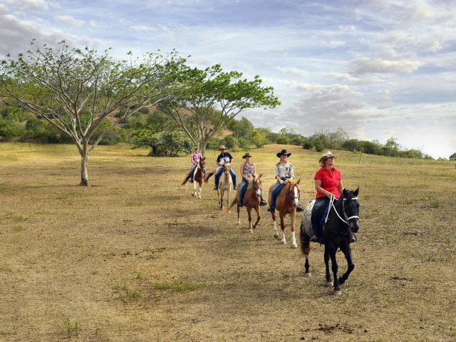 A group of tourists enjoying a horseback ride on a Koumac property.