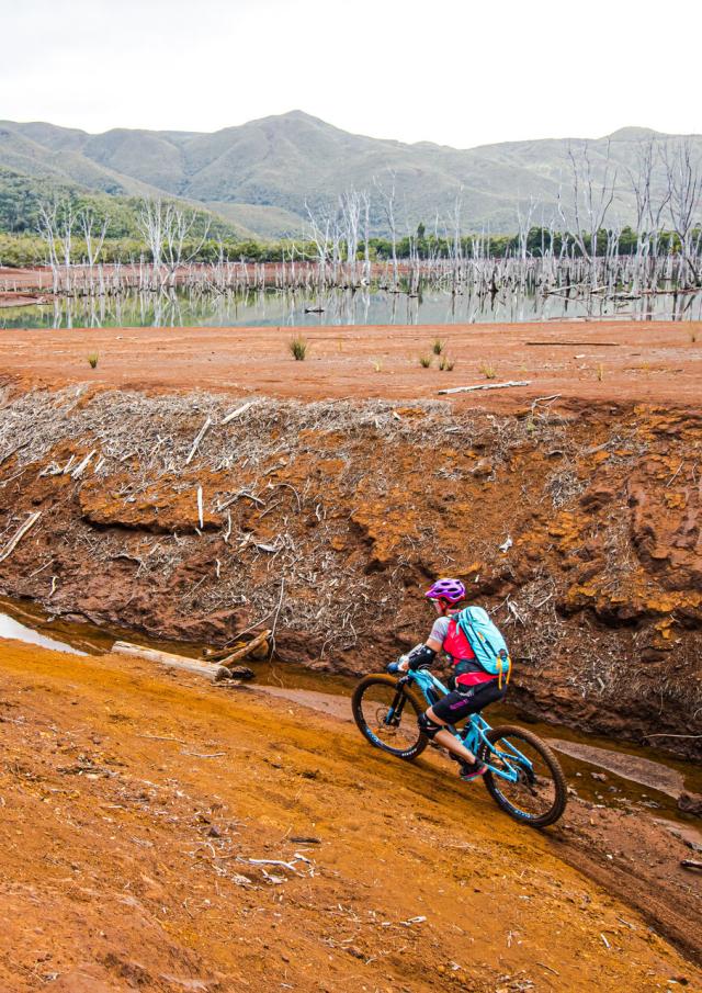 Mountain biking around the Drowned Forest at the Rivière Bleue Provincial Park in Yaté, New Caledonia.