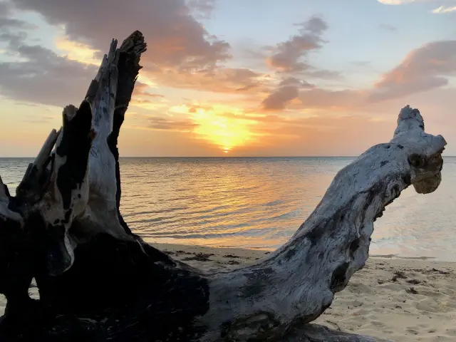 Coucher de soleil sur la plage de Poé, avec un tronc de bois flotté au premier plan, le lagon calme et un ciel aux teintes dorées.