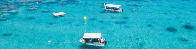 PMT on the underwater trail in Poé lagoon, Bourail, New Caledonia.