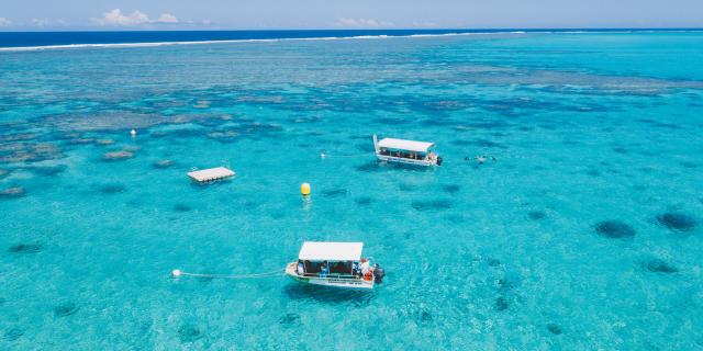 PMT on the underwater trail in Poé lagoon, Bourail, New Caledonia.