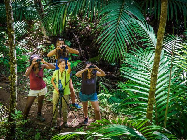 Birdwatching at the Parc des Grandes Fougères