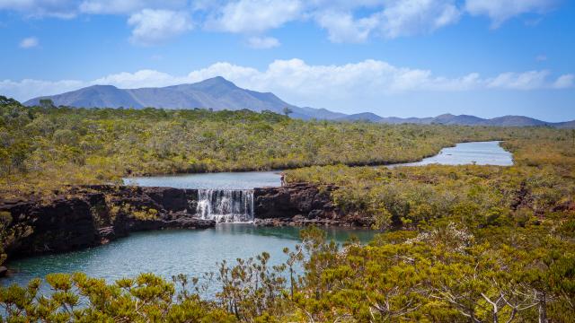View of the Chutes de la Madeleine in New Caledonia's Rivière Bleue Provincial Park.