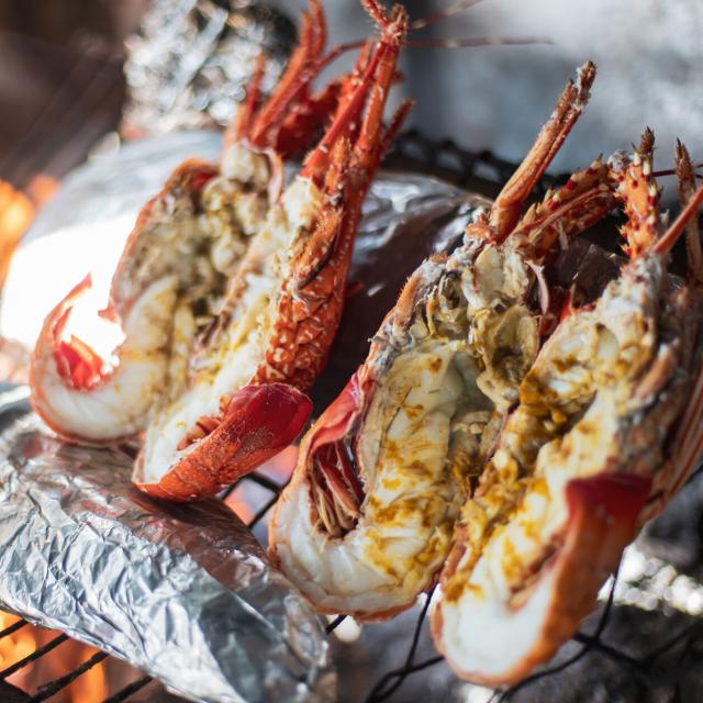 Lobsters of the Isle of Pines