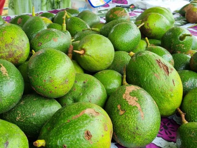 Avocado festival in Maré, Loyalty Islands of New Caledonia.