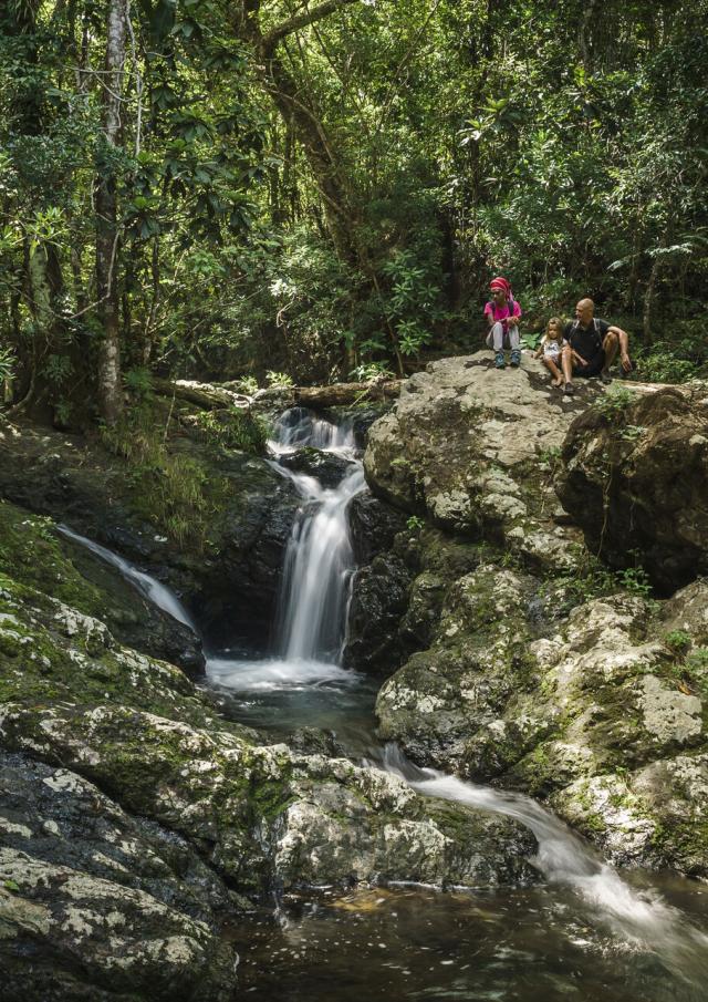 Guided walking tour of the Parc des Grandes Fougères in Farino, New Caledonia.