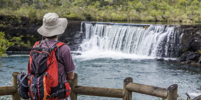 Randonnée pédestre, point de vue aux Chutes de la Madeleine au Parc Provincial de la Rivière Bleue, en Nouvelle-Calédonie.