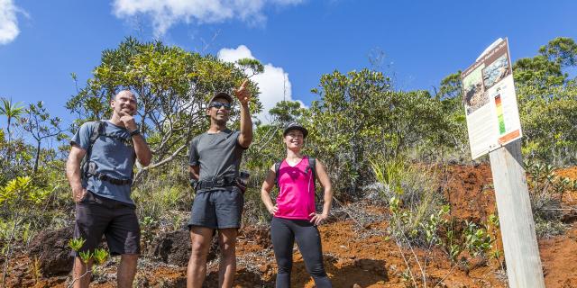 Hiking on the GR® South of New Caledonia.