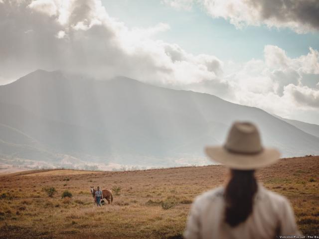 Rentrée de bétail à la ferme de Néméara, Bourail