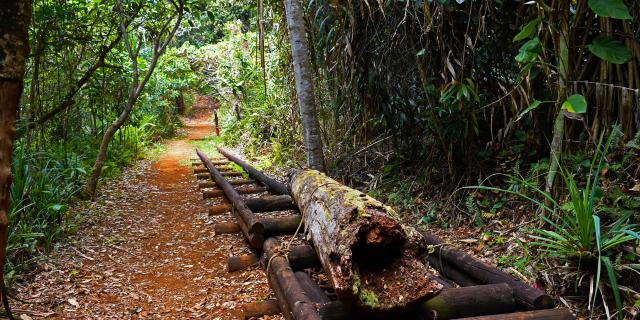 Remains of the former mining village of Prony in New Caledonia.