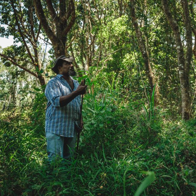 Visit to the Napoémien tribe in Poindimié, New Caledonia.