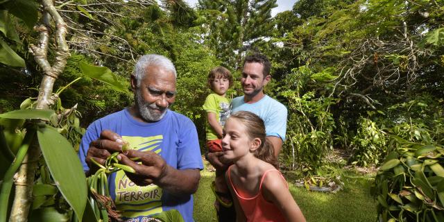 Vanilla Festival in Lifou, Loyalty Islands