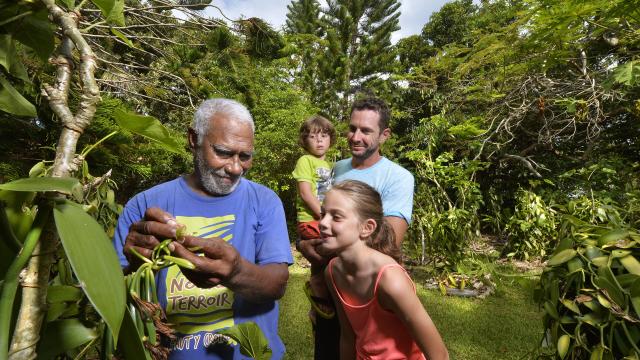 Vanilla Festival in Lifou, Loyalty Islands
