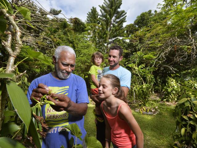 Vanilla Festival in Lifou, Loyalty Islands