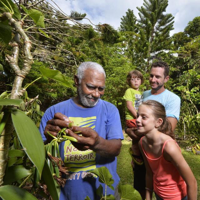 Vanilla Festival in Lifou, Loyalty Islands