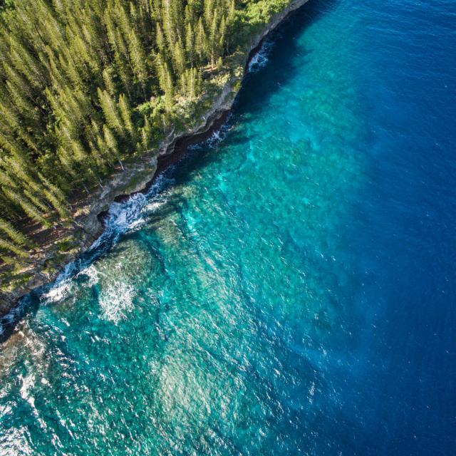 Pine trees and lagoon in Maré