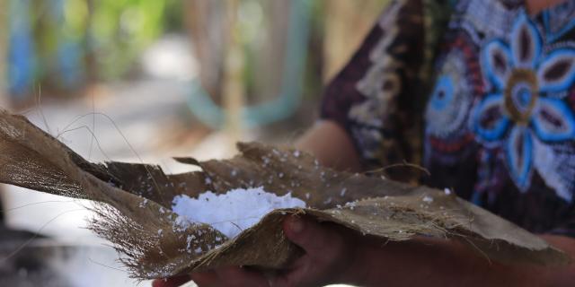 Coconut rapped in the islands