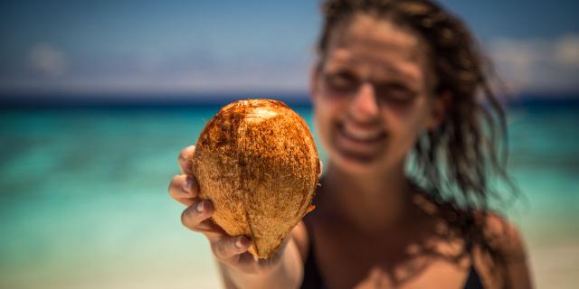 Coconut on the beach in the islands