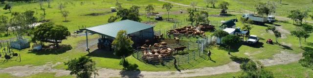 Bush farm on the west coast of New Caledonia.
