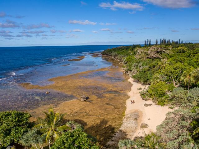 Aerial view of the Gîte Iya beach in Yaté, New Caledonia.