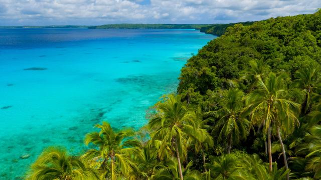 Aerial view of the lagoon and coconut trees at Lifou in the islands