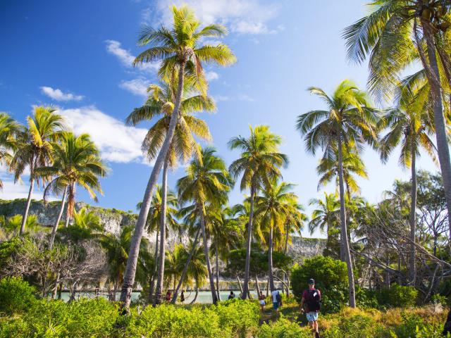Chemin vers les Falaises de Lékiny à Ouvéa