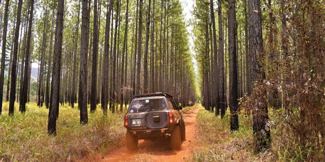 4x4 excursion to the Battlefield Plain