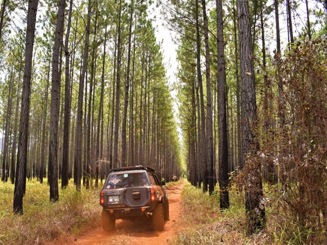 4x4 excursion to the Battlefield Plain in New Caledonia's Deep South.