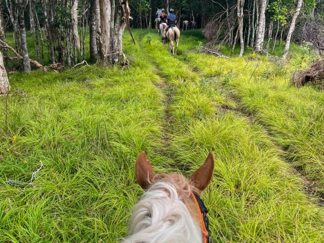 Horseback riding on the ridges of Bourail