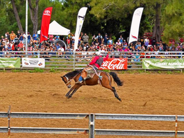 Attend the Bourail Fair rodeo in New Caledonia.