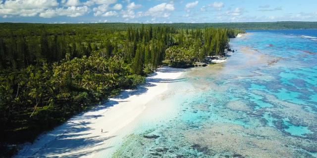 Aerial view of Wabao beach in Maré, Loyalty Islands, New Caledonia.