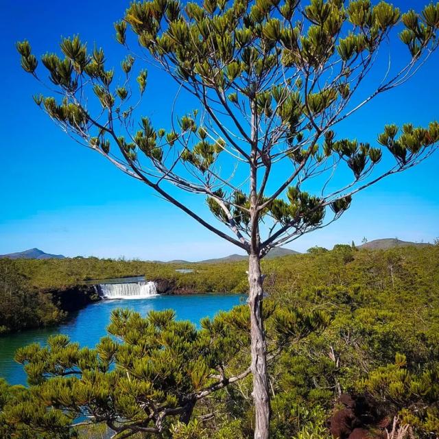 Instagram #newcaledonia