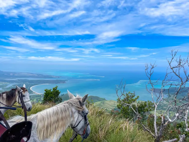 Deux chevaux en randonnée au Domaine de Déva dominent un panorama exceptionnel sur le lagon, le littoral et les reliefs de Bourail.