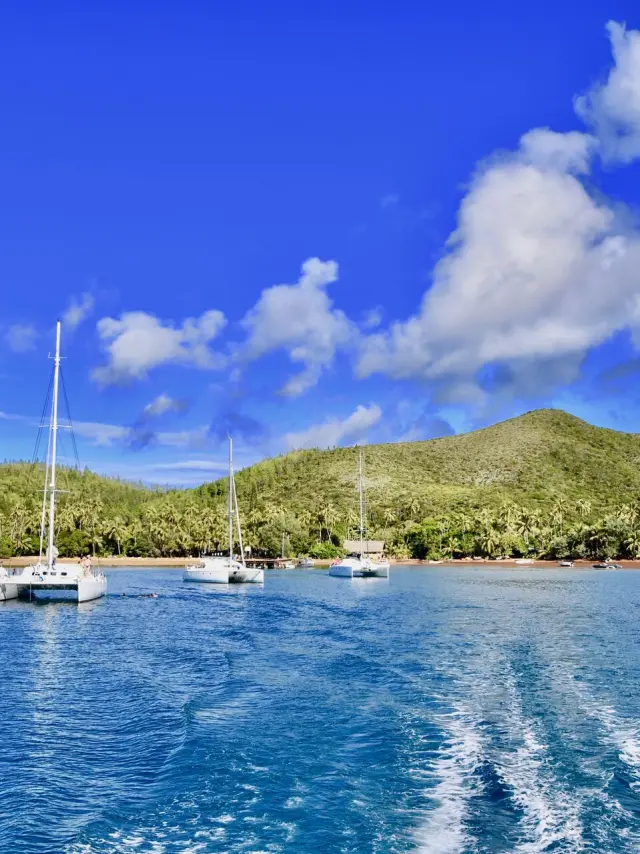 Sortie catamaran dans le Grand Sud