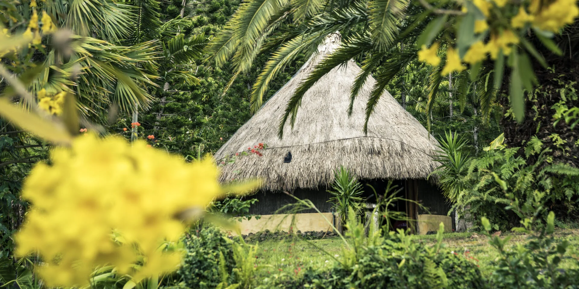 Case traditionnelle Kanak à Sarraméa