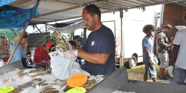 Poissons et langoustes de Koumac