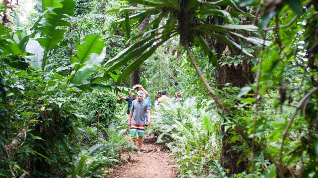 オルタンスの洞窟、イル・デ・パン