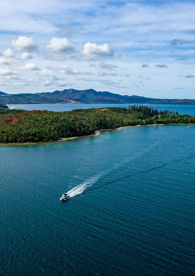 Casy Island, Prony