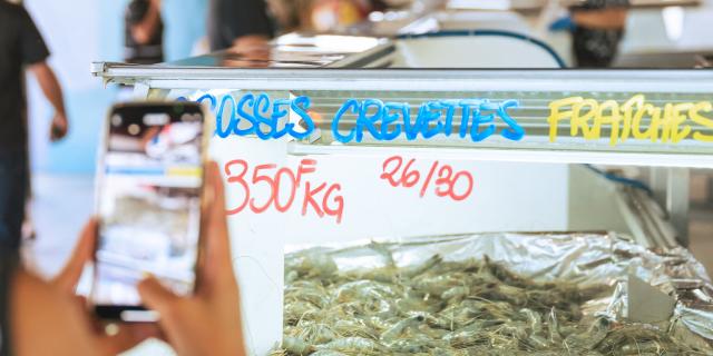 Shrimps at the Moselle market in Noumea